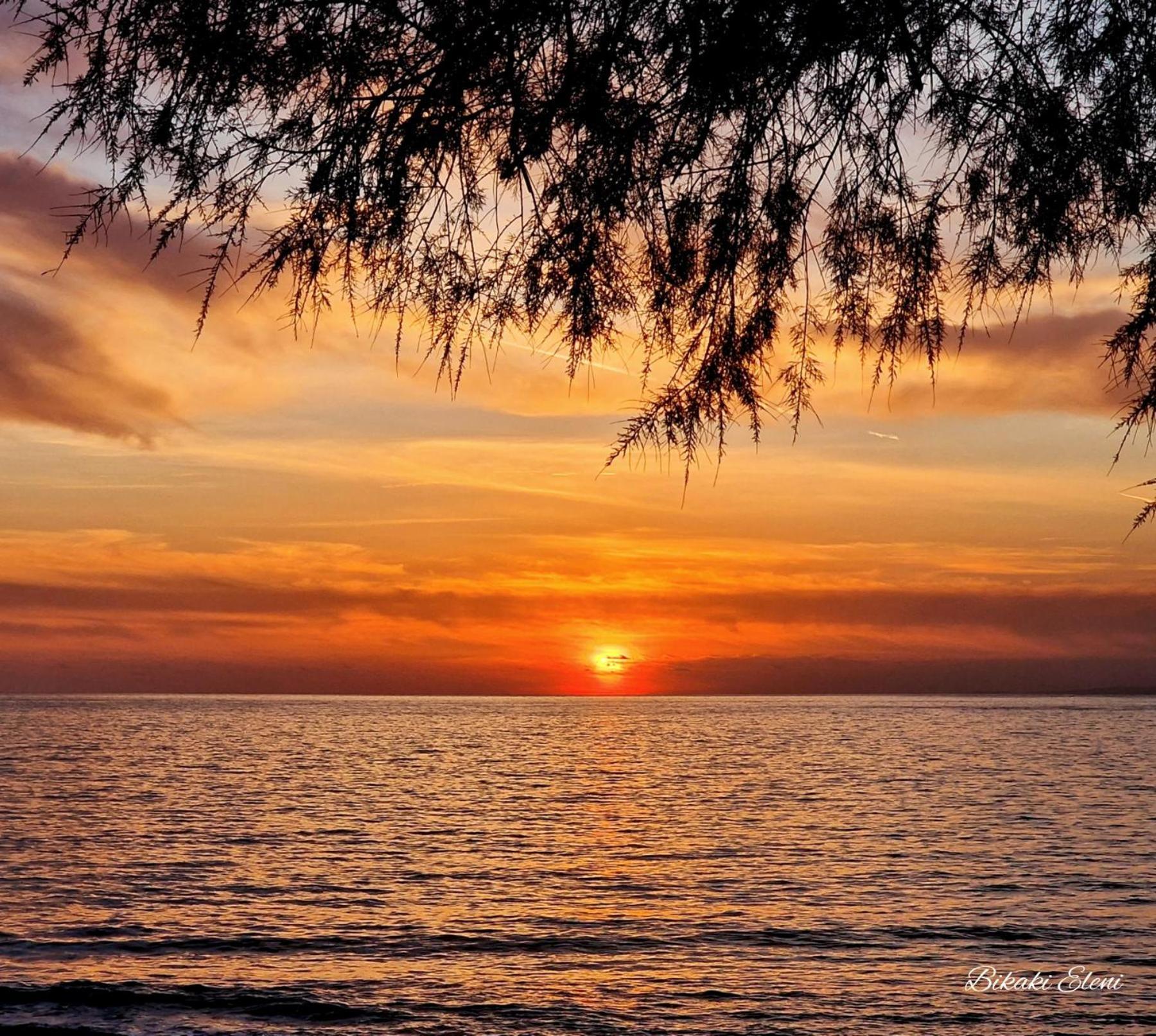 Artemis Beach Studios Kalamaki  Dış mekan fotoğraf